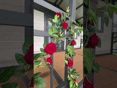 20ft Σκηνή Αναδιπλούμενου Σπιτιού